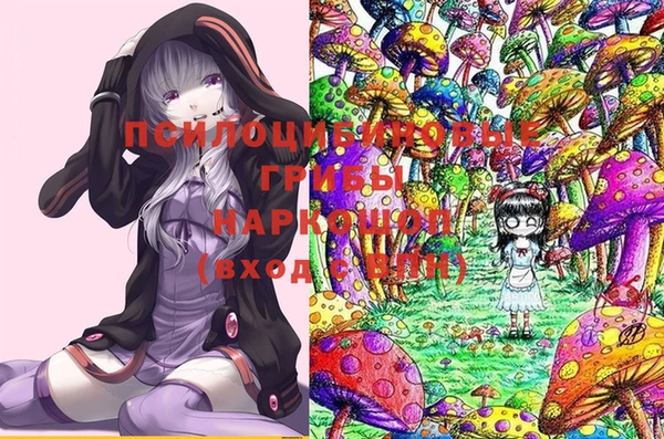 герыч Алзамай