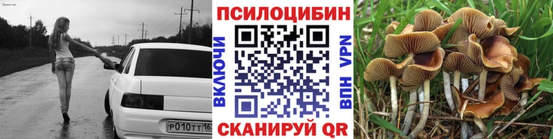 Галлюциногенные грибы GOLDEN TEACHER  Нарьян-Мар 